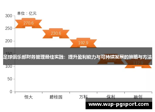足球俱乐部财务管理最佳实践:提升盈利能力与可持续发展的策略与方法 足球俱乐部财务管理最佳实践:提升盈利能力与可持续发展的策略与方法