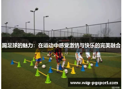 踢足球的魅力：在运动中感受激情与快乐的完美融合