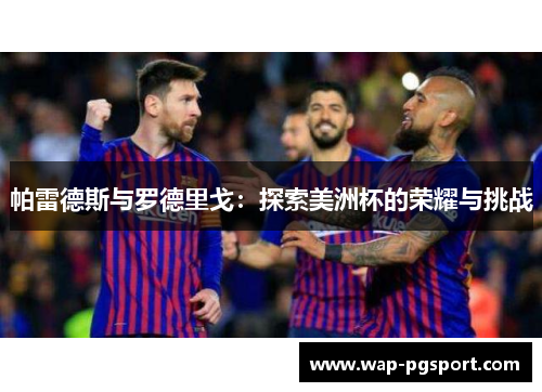 帕雷德斯与罗德里戈:探索美洲杯的荣耀与挑战 帕雷德斯与罗德里戈:探索美洲杯的荣耀与挑战